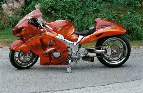 Custom SS Swing Arms